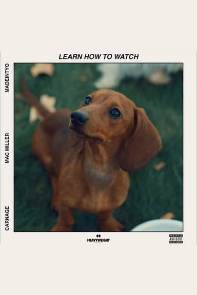 Learn How to Watch poster