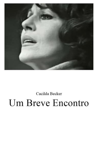 Um Breve Encontro poster