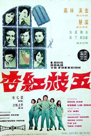 Long Road to Freedom poster