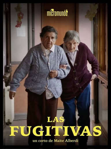 The Fugitives poster