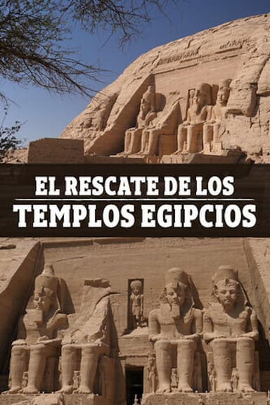 Saving Egypt's Temples poster