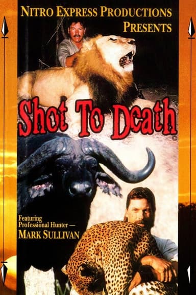 Shot to death poster
