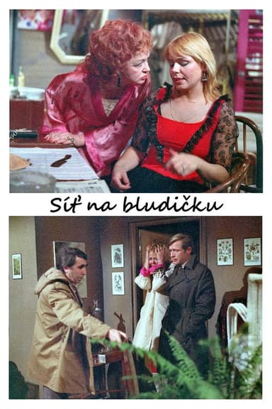Síť na bludičku poster