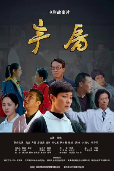 产房 poster