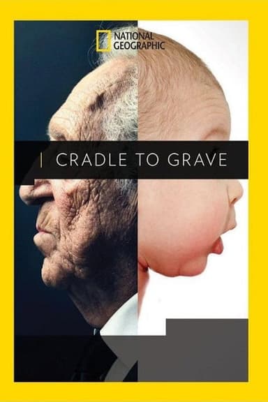 Cradle to Grave poster