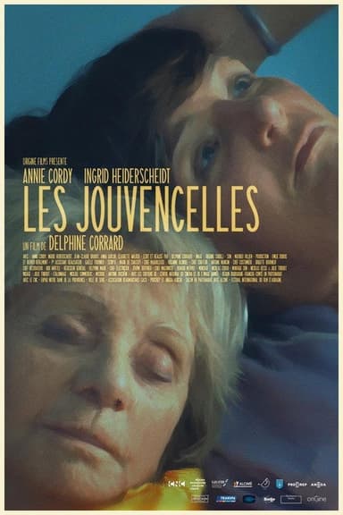 The Damsels poster
