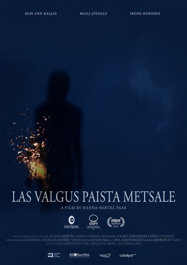 Let The Light Rise Upon The Forest poster