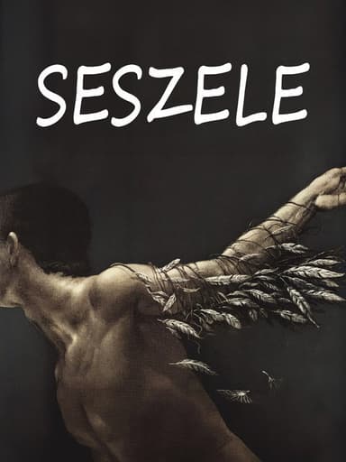 Seychelles poster