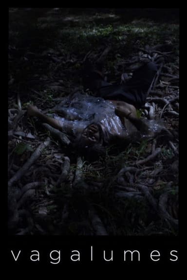 Fireflies poster