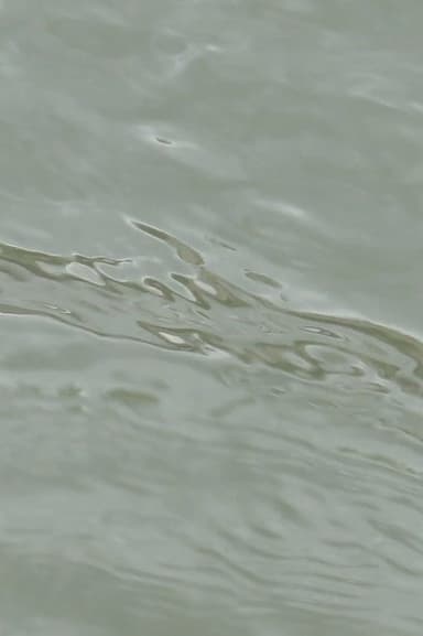 entre les vagues (un hommage) poster