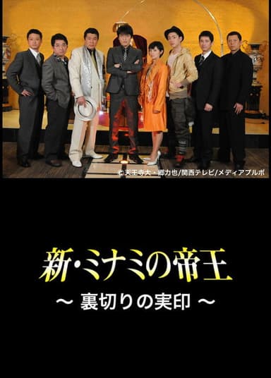 The King of Minami Returns: The Seal of Betrayal poster