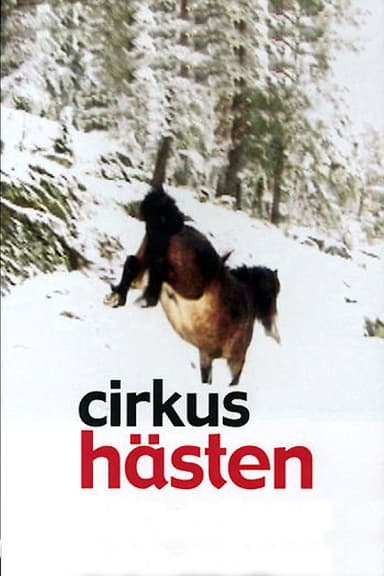The Circus Horse poster