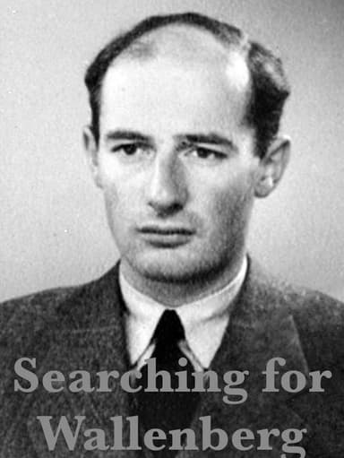 Searching for Wallenberg poster