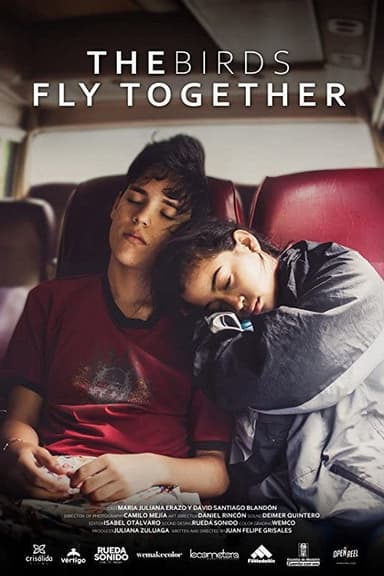 The Birds Fly Together poster