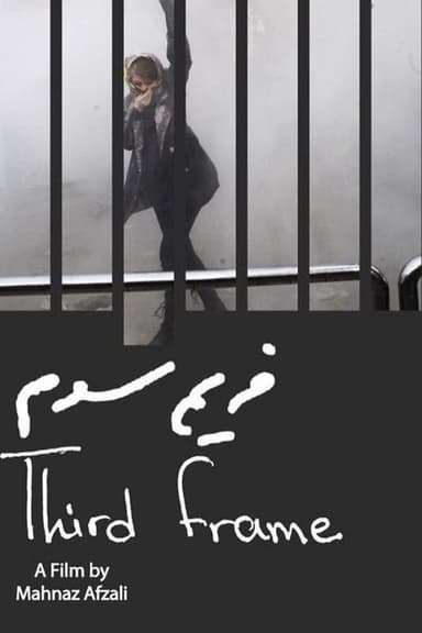 The Third Frame poster