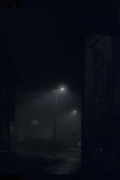 The River and A Cat poster