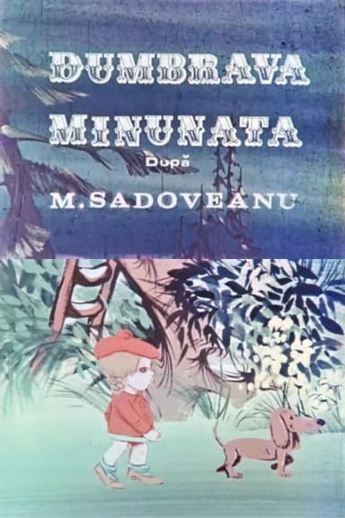 Dumbrava minunată poster