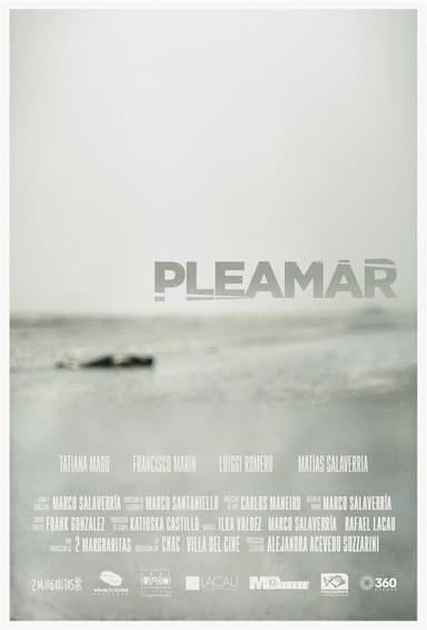 Pleamar poster