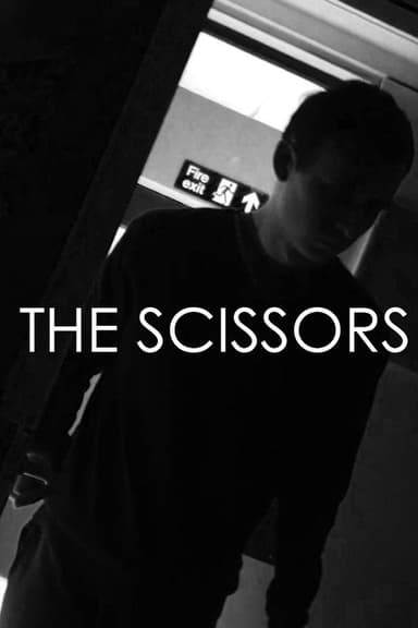 The Scissors poster