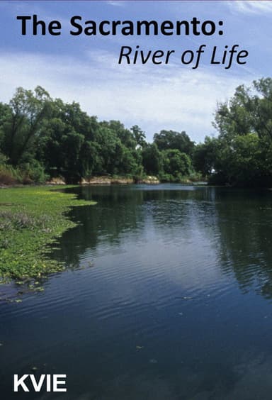 The Sacramento River of Life poster
