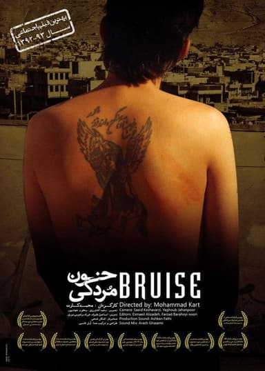 Bruise poster