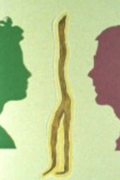 The Root That Ate Roger Williams poster