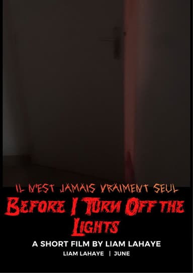 Before I Turn Off the Lights poster