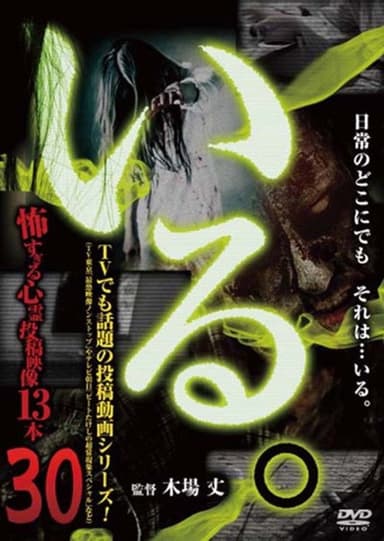 「Iru.」~ Kowasugiru Tōkō Eizō 13-hon ~ Vol.30 poster