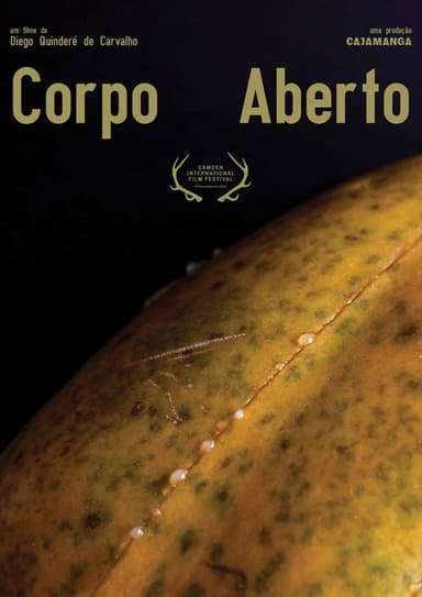Corpo Aberto poster