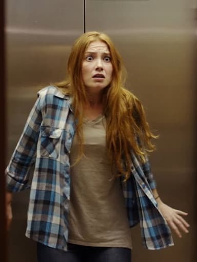 The Elevator poster