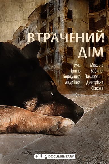 Vtrachenyy dim poster