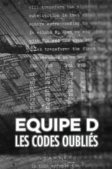 Equipo D: los códigos olvidados poster