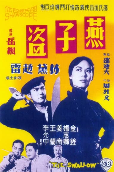 The Swallow poster