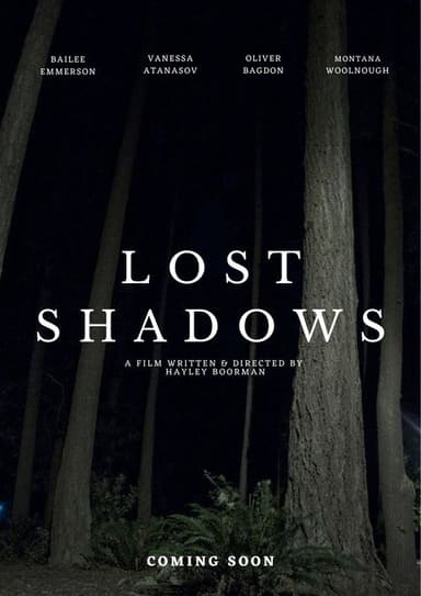 Lost Shadows poster