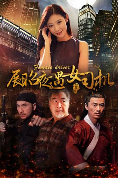 展昭夜遇女司机 poster