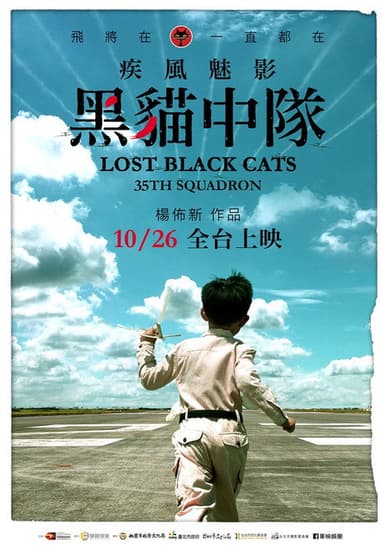 Lost Black Cats 35th Squadron poster