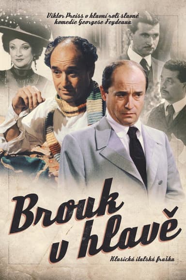 Brouk v hlavě poster