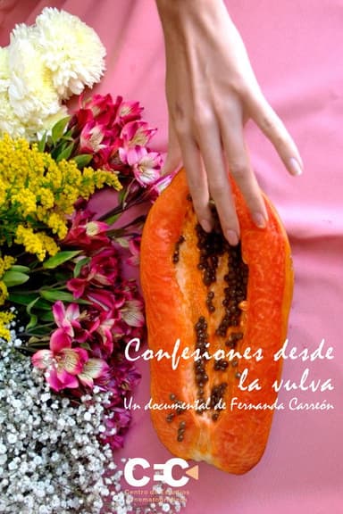 Confesiones desde la vulva poster
