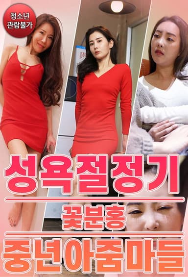 성욕절정기 꽃분홍 중년 아줌마들 poster