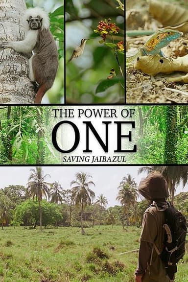 The Power of One poster
