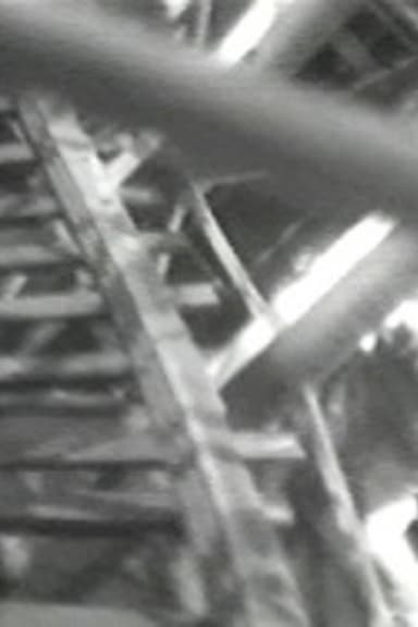 Four Motion Studies poster