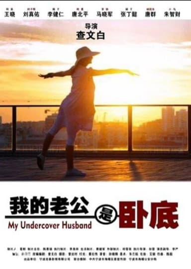 我的老公是卧底 poster