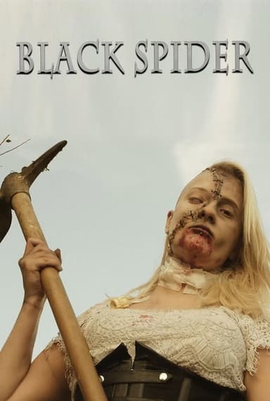 Black Spider poster