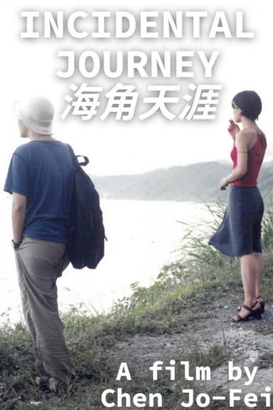 Incidental Journey poster