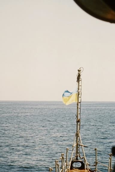 Ukrainian Navy poster