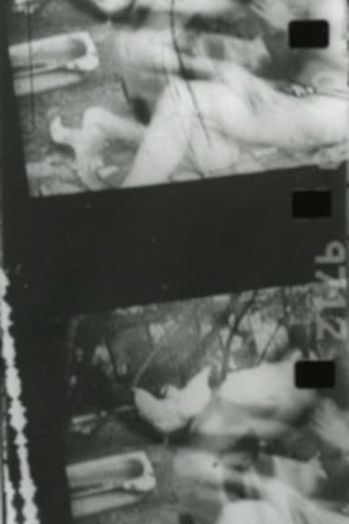 When Bodies Touch poster