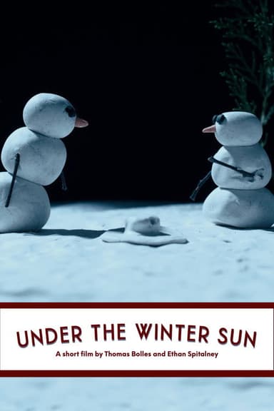 Under the Winter Sun poster