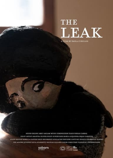 The Leak poster