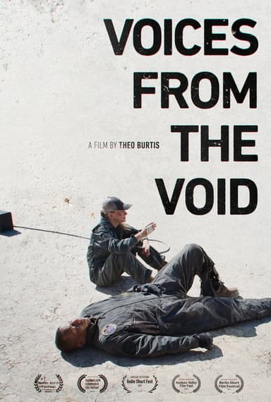Voices from the Void poster