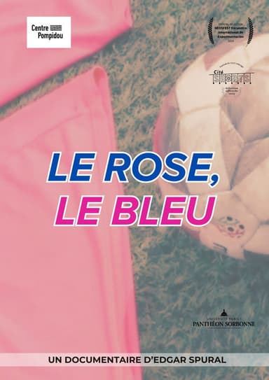Le rose, le bleu poster